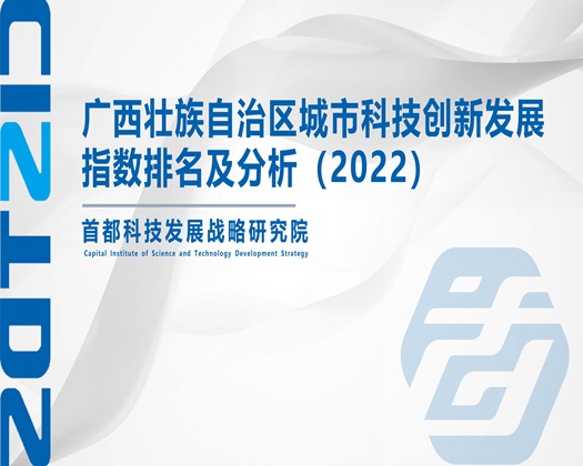 夜夜操B【成果发布】广西壮族自治区城市科技创新发展指数排名及分析（2022）